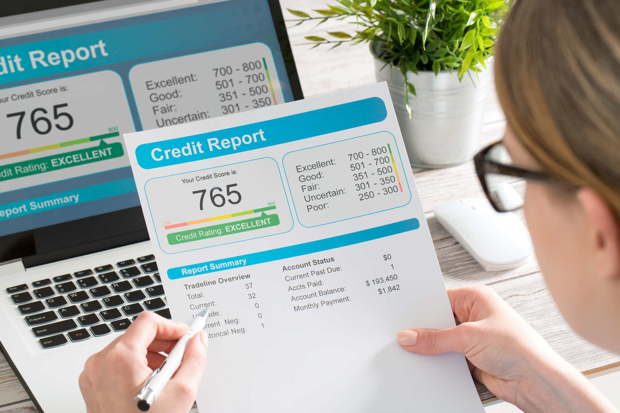 report credit score banking borrowing application risk form report credit score banking borrowing application risk form